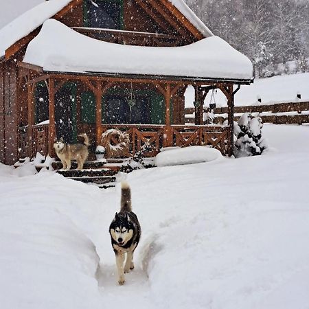 Legowisko Bieszczady Villa Ropienka Luaran gambar