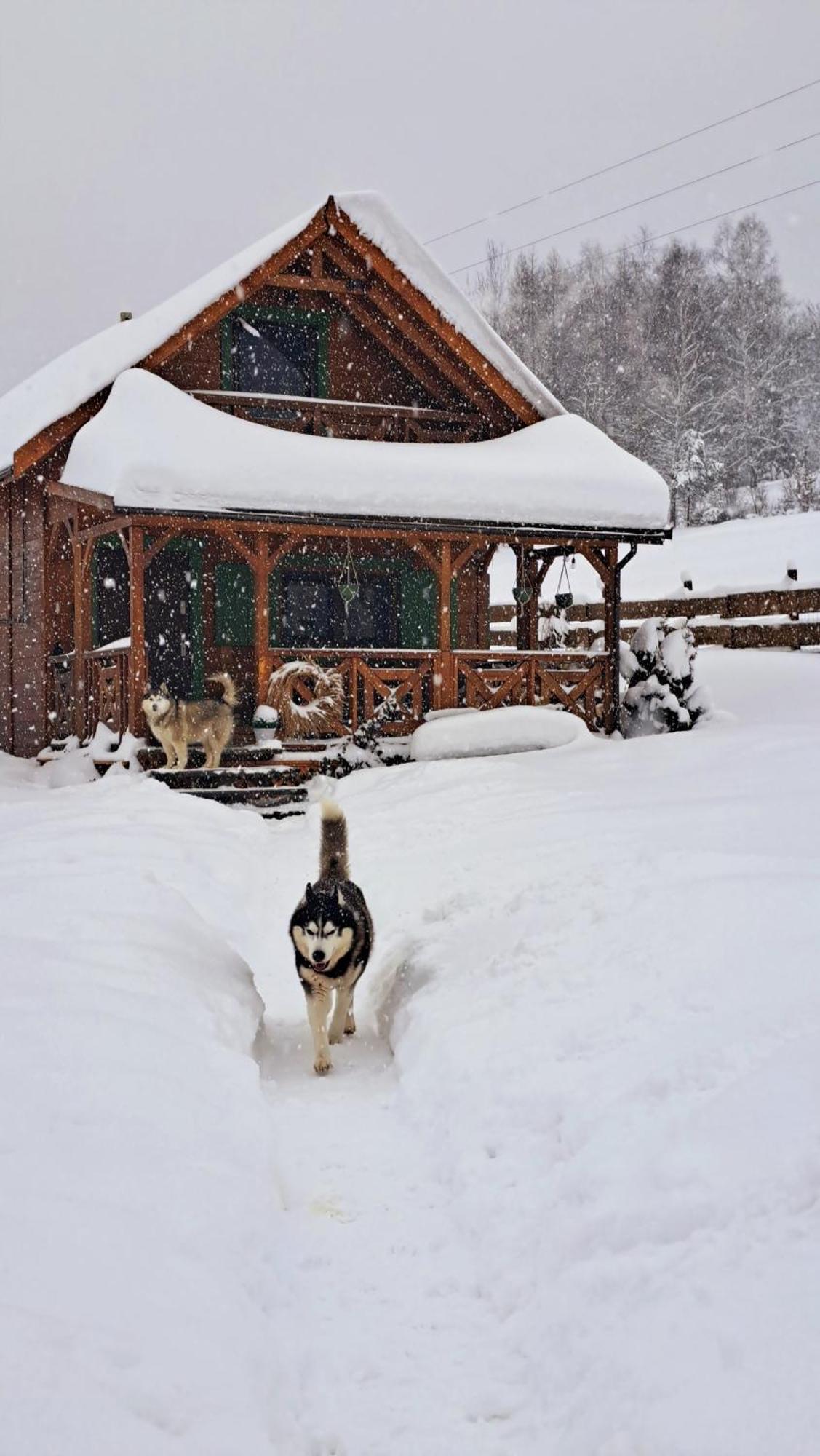 Legowisko Bieszczady Villa Ropienka Luaran gambar