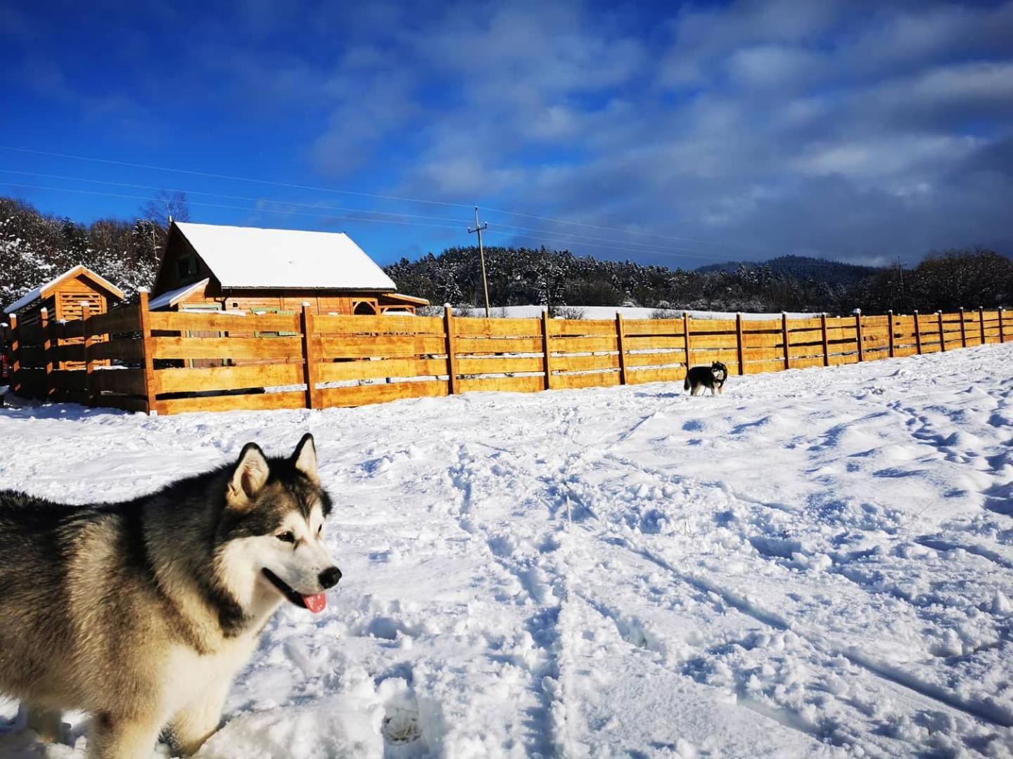 Legowisko Bieszczady Villa Ropienka Luaran gambar