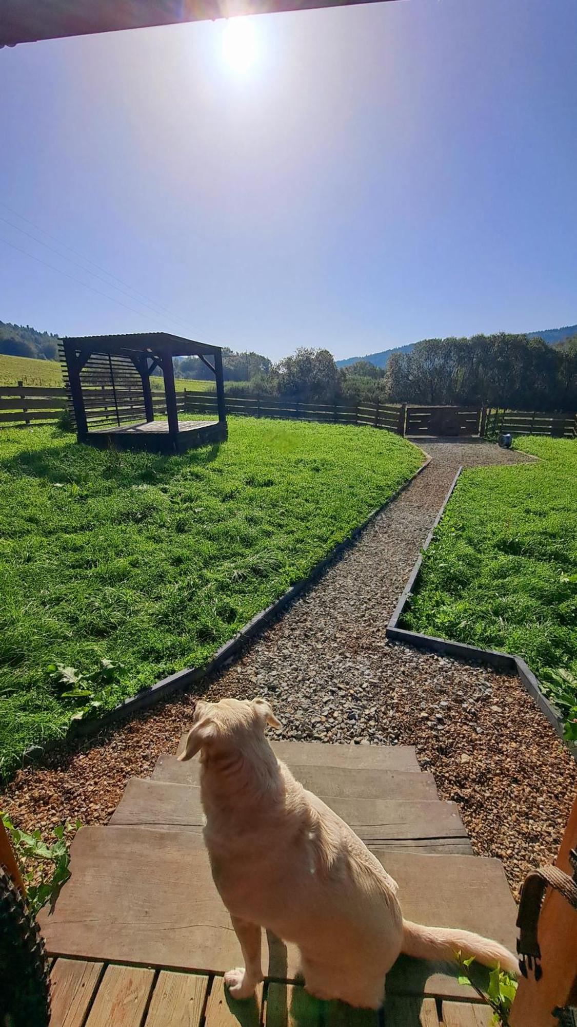 Legowisko Bieszczady Villa Ropienka Luaran gambar