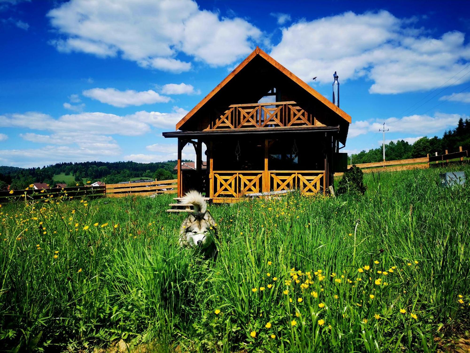 Legowisko Bieszczady Villa Ropienka Luaran gambar